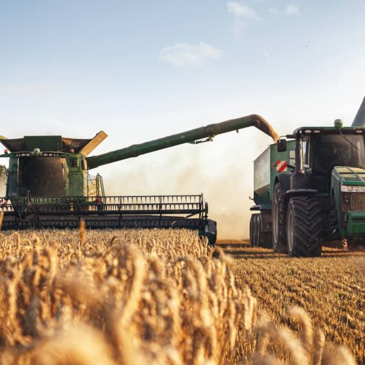 Sector empresarial y cadena agroalimentaria Andalucía